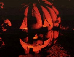 image.jpeg image.jpeg