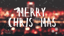 image.gif