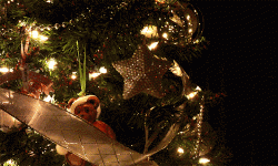 image.gif
