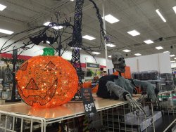 image.jpeg