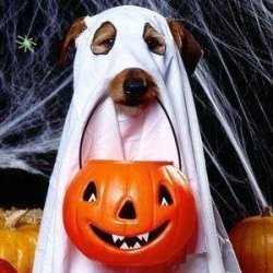 image.jpeg image.jpeg