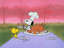 image.gif