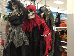 image.jpeg