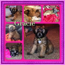 Gracie's 1st week.jpg