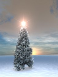 Christmas Sunrise.jpg