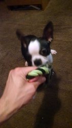 IMG_20160819_202717676.jpg