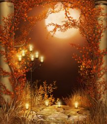 autumn02.jpg