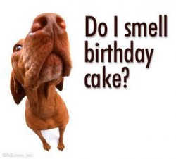 happy+birthday+funny7.jpg