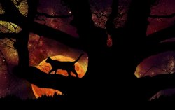 magic_of_halloween_night_by_silverbeam-d4cmgka.jpg