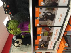 image.jpeg