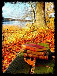 autumn-books-bookworm-fall-Favim.com-1097747.jpg