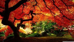 autumn-4.jpg