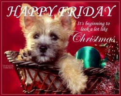 222998-Happy-Friday-Its-Beginning-To-Look-A-Lot-Like-Christmas.jpg