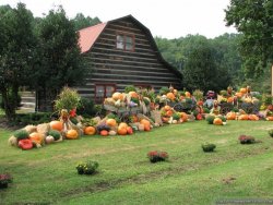 IMG_4865.JPG