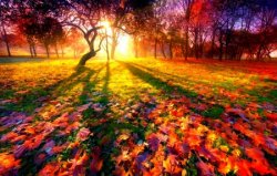 1157748-bigthumbnail.jpg