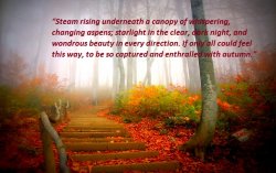 forests-autumn.jpg