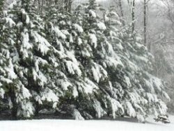 first day of spring - snow 1.jpg