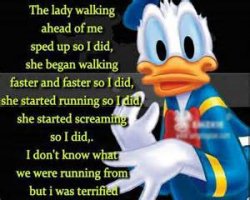 donald duck crazy.jpg