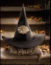 ImageUploadedByTapatalk1431172335.588110.jpg