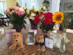 ImageUploadedByTapatalk1434129101.503165.jpg ImageUploadedByTapatalk1434129101.503165.jpg