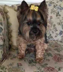 ImageUploadedByTapatalk1434220407.349391.jpg ImageUploadedByTapatalk1434220407.349391.jpg