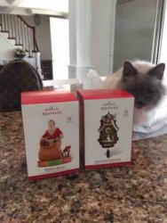 ImageUploadedByTapatalk1436638458.612195.jpg ImageUploadedByTapatalk1436638458.612195.jpg