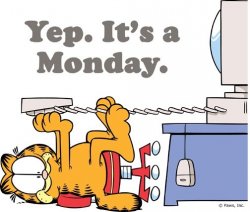 Garfield Monday.jpg