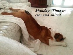 Rise & Shine Monday.jpg