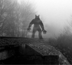 635800441928668089-1464779272_Dogman.jpg