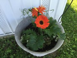 2016-05-18_214020837_A81A5_iOS.jpg
