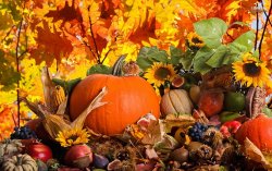 autumn-pictures-wallpaper-1.jpg