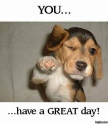 Have a great day.jpg