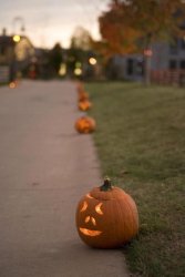 IMG_8408.JPG