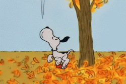 IMG_5983.GIF
