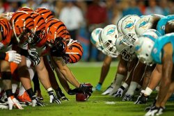 Dolphins vs Bengals.jpg