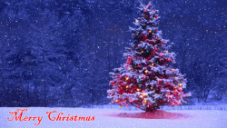 Christmas Tree & Snowfall.gif