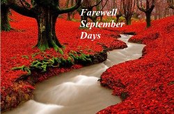 Stunning-Red-Autumn-Woods-Madeira-Portugal.jpg