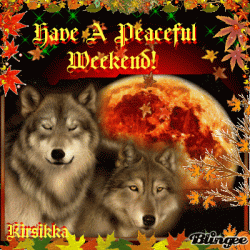 Wolf Autumn.gif