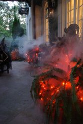 IMG_8504.JPG