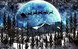 Santa & Starlight.jpg