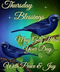 Bluebird Blessing.jpg