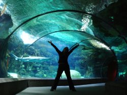 Henry-Doorly-Zoo-Omaha-Nebraska-usa.jpg