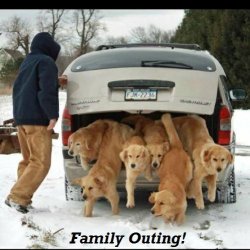 Family Outing.jpg