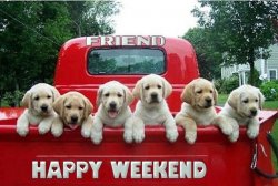 Happy Weekend.jpg