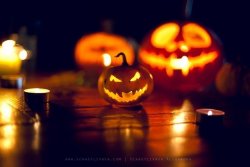 IMG_8666.JPG