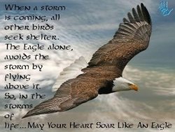 Eagle storm.jpg