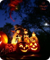 IMG_8679.JPG