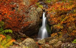 Fairy Fall.jpg