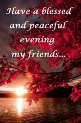 Good evening.jpg