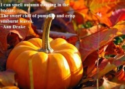 fall-leaves-pumpkins-1.jpg